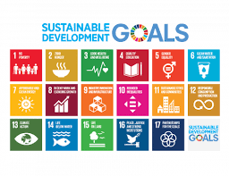Sustainable Development Goals Physiopedia