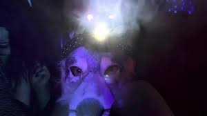 Lil Wolf Porn Videos: XXX 2025, 7 | xHamster