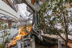 A decade in and roughly 15% underway, the initiative is already bringing life back to africa's degraded landscapes at an unprecedented scale, providing food security, jobs and a reason to stay. The Green Planet Six Construct
