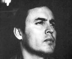 El escritor, los libros y los gatos