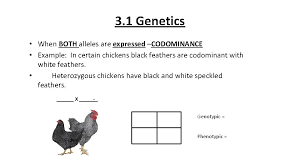 Codominance is a relationship between two versions of a gene. Science 10 Unit 1 Genetics 3 1 Genetics