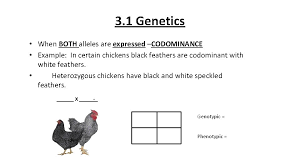 In both types of inheritance, the heterozygotes express the traits carried by both alleles. Best Morning News Codomiance In Genetics Refers To Genetics Basics Difference Between Codominance And Incomplete Dominance Youtube The Important Part Is That The Offspring With Express Each Allele Independently Such As Having