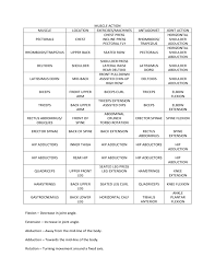 Muscle Action Chart Free Download