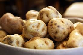 From the maincrop potatoes, king edward, maris piper, maxine, arran victory (steaming) and celine are favourites. Meet The Lumper Ireland S New Old Potato