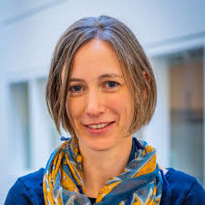 Government, Law & International Affairs