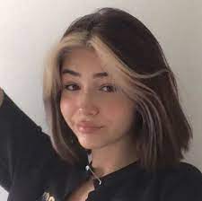 Aestlook On Insta 3 Hair Color Streaks Aesthetic Hair Hair Inspo Color