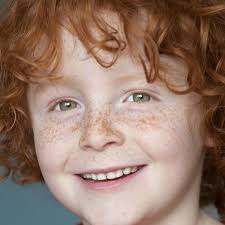 Watch Xavier Riddle and the Secret Museum (2019) TV Series Online