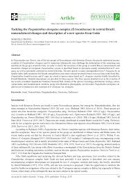 Image result for Syngonanthus longibracteatus