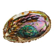 It has abalone shell, faux pearls, and white beads that are either glass or very hard plastic. Abalone Shell Bulk Croll Denecke