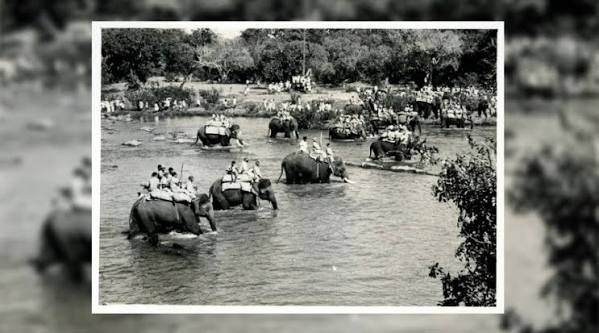 Kabini's History of Khedda Elephant Capture — Nature inFocus