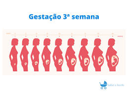 A Gestacao 3ª Semana