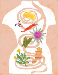 Atta, cracked wheatlapsi fada and semolina sooji are all. Flush Those Toxins Eh Not So Fast The New York Times