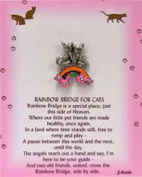 We did not find results for: Rainbow Bridge For Cats Thoughtful Little Angels