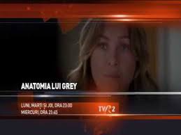 Роб корн, кевин маккидд, дебби аллен и др. Anatomia Lui Grey Youtube