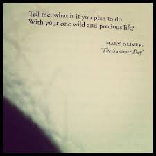 Mary Oliver Wild And Precious Life Cool Words Inspirational Words Powerful Words