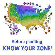 Usda Plant Hardiness Zone Map Wilson Bros Gardens