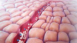 Check spelling or type a new query. Low Blood Sugar Hypoglycemia Symptoms Causes And Treatment