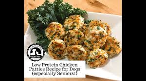Made with 100% grain free indoor feature protein rich recipe, packed with omegas to promote healthy skin and coat. Easy Low Protein Chicken Pattie Recipe For Dogs Especially Seniors Youtube