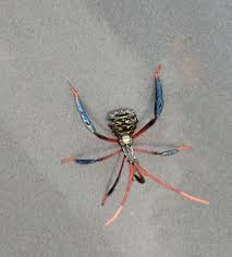 Image result for leaf-footed bug nymphs