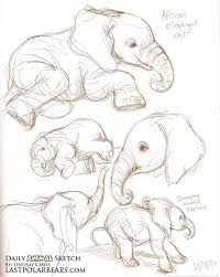 Studies Of An Asian Elephant Calf And A Baby Meerkat Description From Lastpolarbears Com I Sea Animal Drawings Sketches Animal Sketches Elephant Line Drawing