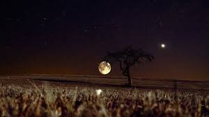 27 февраля 2021 в 11:20 — полнолуние в деве. Lunnyj Kalendar Na 14 Iyulya 2021 Goda Novosti Samary I Samarskoj Oblasti Gtrk Samara