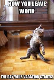 How You Leave Work The Day Your Vacation Starts Cats Animals Cute Animals