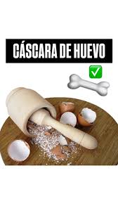 El secreto oculto del huevo: su cáscara 🥚✅, ., ., ., #huevo #cáscara  #calcio