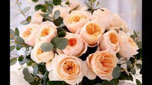 We did not find results for: Bunga Mawar Terindah Di Dunia Youtube