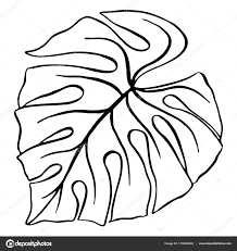Malvorlage Monstera Coloring And Malvorlagan