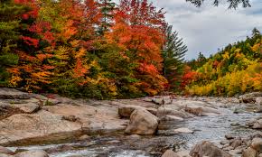 North Conway Vacation Rentals Homes Conway Nh Airbnb