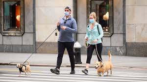 We're reaching out to the dallas fort worth community to provide friendly, convenient, and affordable low cost pet vaccinations.find out what dog. Covid Will Your Pet Need A Coronavirus Vaccine Bbc News