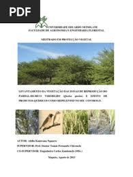 Image result for Eriochloa macclounii