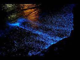 Praias Que Brilham Um Mar Cheio De Estrelas Youtube