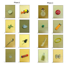 A Real World What Where When Memory Test Protocol Translated To Arabic