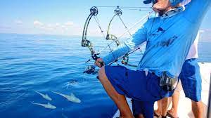 Bow Fishing for Tuna Fish - YouTube