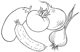 Kumpulan mewarnai gambar bunga semua ada di sini silakan klik gambar maupun link link yang tersedia dan silakan didownload gratis. Mewarnai Gambar Buah Buahan Untuk Anak Tk