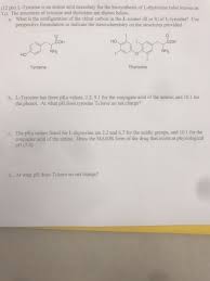 I was going to get some of that stuff myself but i don't think i can take it since i am on lexapro. 12 Pts L Tyrosine Is An Amino Acid Necessary For Chegg Com