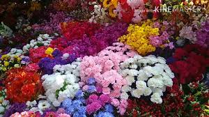Artificial flowers wholesale in mumbai. Wholesale Market Of Cheap Electronics Cdecorative Flowers Lohar Chawl Mumbai Youtube