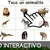 Diseño adecuado para niños en edad de preescolar y jardín de infancia. 1