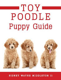 This list has the cutest pictures of poodles, from adorable poodle puppies to the sweetest full grown poodles. Toy Poodle Puppy Guide Sidney Wayne Middleton Ii 9781622958108 Amazon Com Books