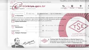Edevlet giriş, edevlet şifre işlemleri ve edevlet sorgulamalar. E Devlet Kapisi Www Turkiye Gov Tr I Hgs Hesap Bilgileri Sorgulama Youtube