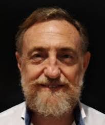 Artículos de opinión de Vicente Franco Gil