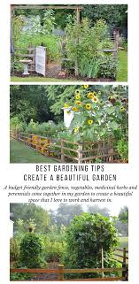 Best Gardening Tips To Create A Beautiful Vegetable Garden Design Rocky Hedge Farm Small Vegetable Gardens Garden Layout Vegetable Vegetable Garden Planner