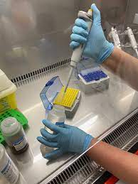 If you're searching for was ist ein pcr test deutsch theme, you have visit the ideal website. Pcr Tests Im Coronatest Zentrum Ab 5 Mai 2021 Medecon Ruhr