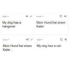 Na daaji za nasham tlay. 20 Funny Google Translate Fails That Will Make You Laugh Out Loud Justlearn