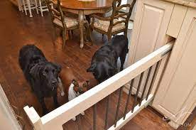We did not find results for: French Country Kitchen Indian Hill Oh Dog Gate Dog Rooms Hidden Rooms