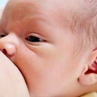 Nous tirons la vitamine k des aliments que nous consommons, tels que les légumes feuilles verts, le poisson, la viande et les œufs. L Alimentation Du Bebe A 1 Mois