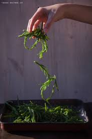 Les Carnets De Nat Salicorne Recette Salade De Salicorne Cuisine Sauvage