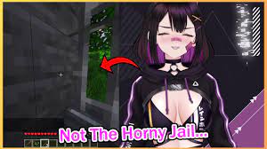 Chat Puts Rainhoe in HORNY Jail.............(In Minecraft) - YouTube