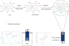 Application of carboxylic acid-functionalized of graphene oxide for  electrochemical simultaneous determination of tryptophan and tyrosine in  milk